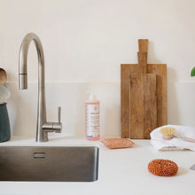 Load image into Gallery viewer, Andree Jardin Dish Brush