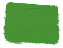Load image into Gallery viewer, The neoclassical palette included this bright green, sometimes pure and sometimes lightened with white.1 litre is enough to cover approximately 13 square metres (140 square feet). After painting, seal indoor furniture with Chalk Paint® Wax. On floors, seal with Chalk Paint® Lacquer. Take a look at Annie Sloan's Tips & Techniques page for more information and to help you get started.   Available in 120ml (4 oz) and 1 litre tins.