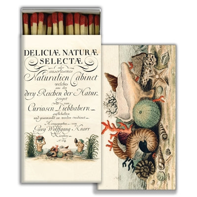 Matches - Shells