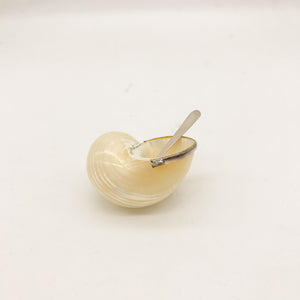 Shell Salt Pot with Sterling Silver Accents & Spoon