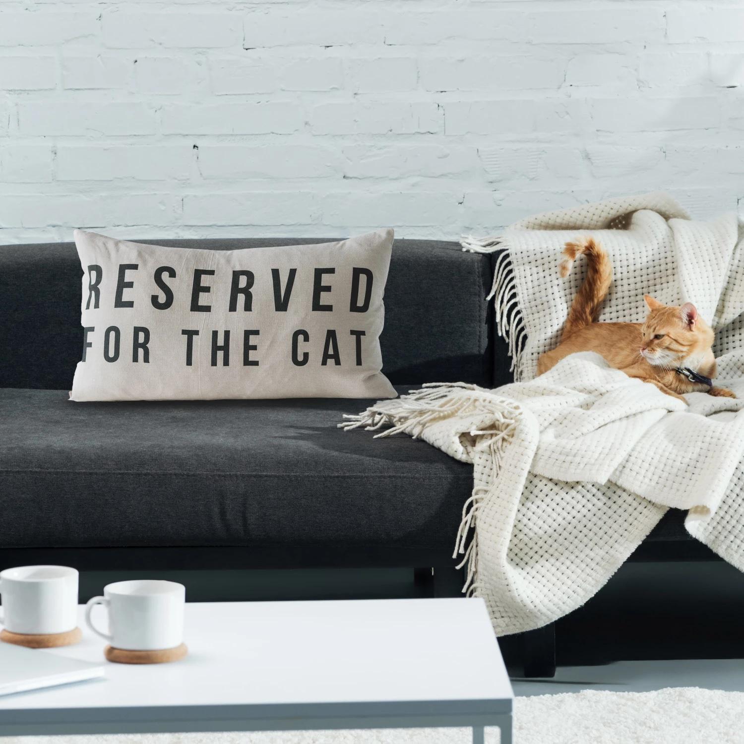 Cotton Lumbar Pillow "Reserved For The Cat"