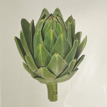 Load image into Gallery viewer, Nicholas Forker Vegetable Prints
