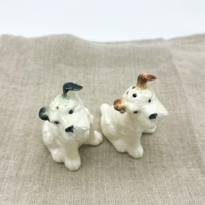 Terrier S&P Shakers