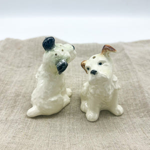 Terrier S&P Shakers