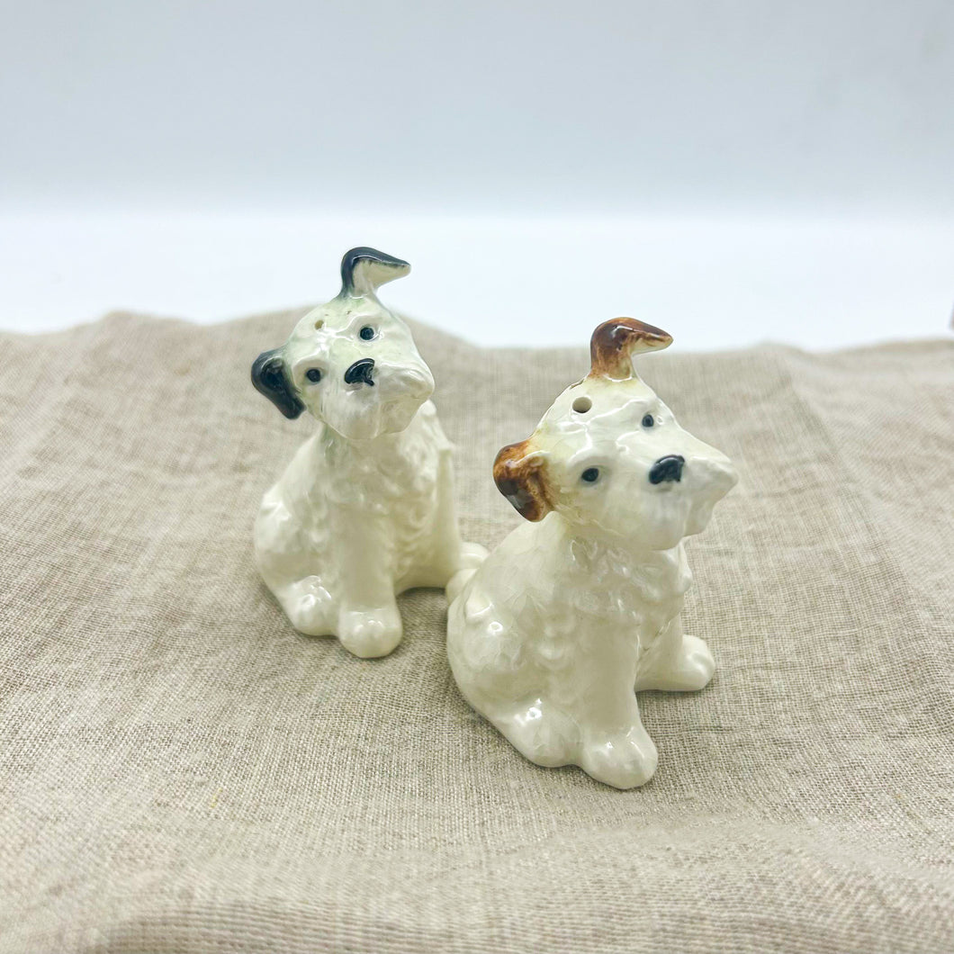 Terrier S&P Shakers