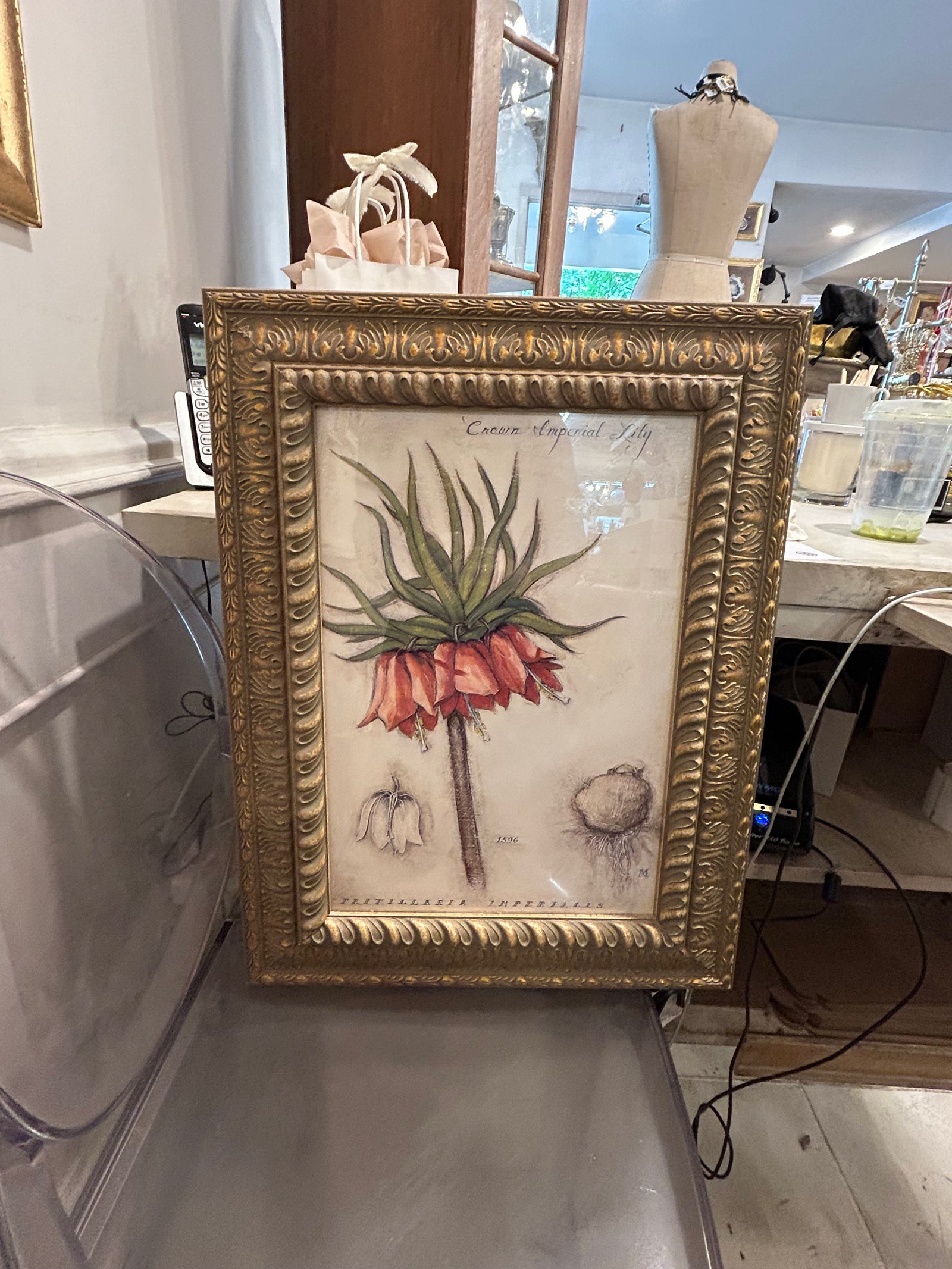 Large Botanicals