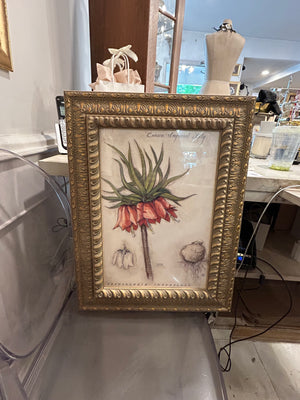 Large Botanicals
