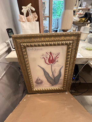 Large Botanicals