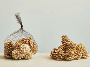 Dried Pinecones - Bag of 15