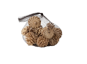 Dried Pinecones - Bag of 15