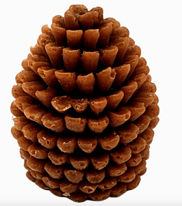 Pinecone Soap - Fir Balsam Scent