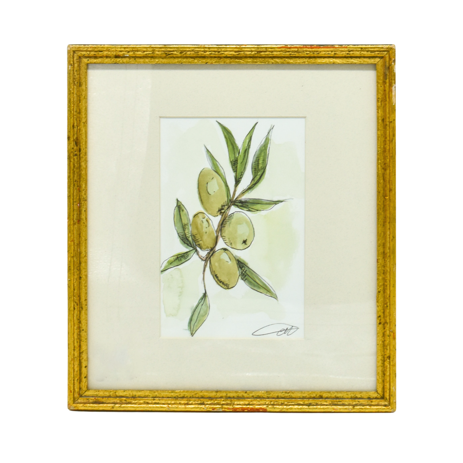 Olive Branch