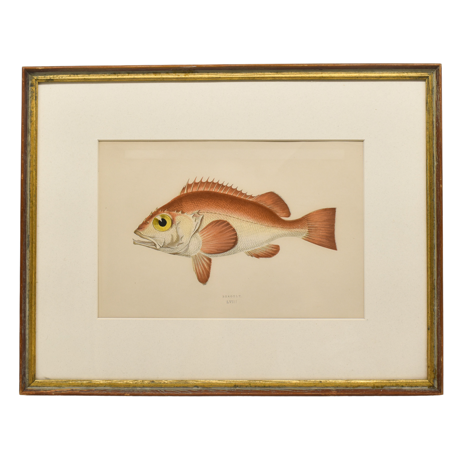Vintage Bergylt Print