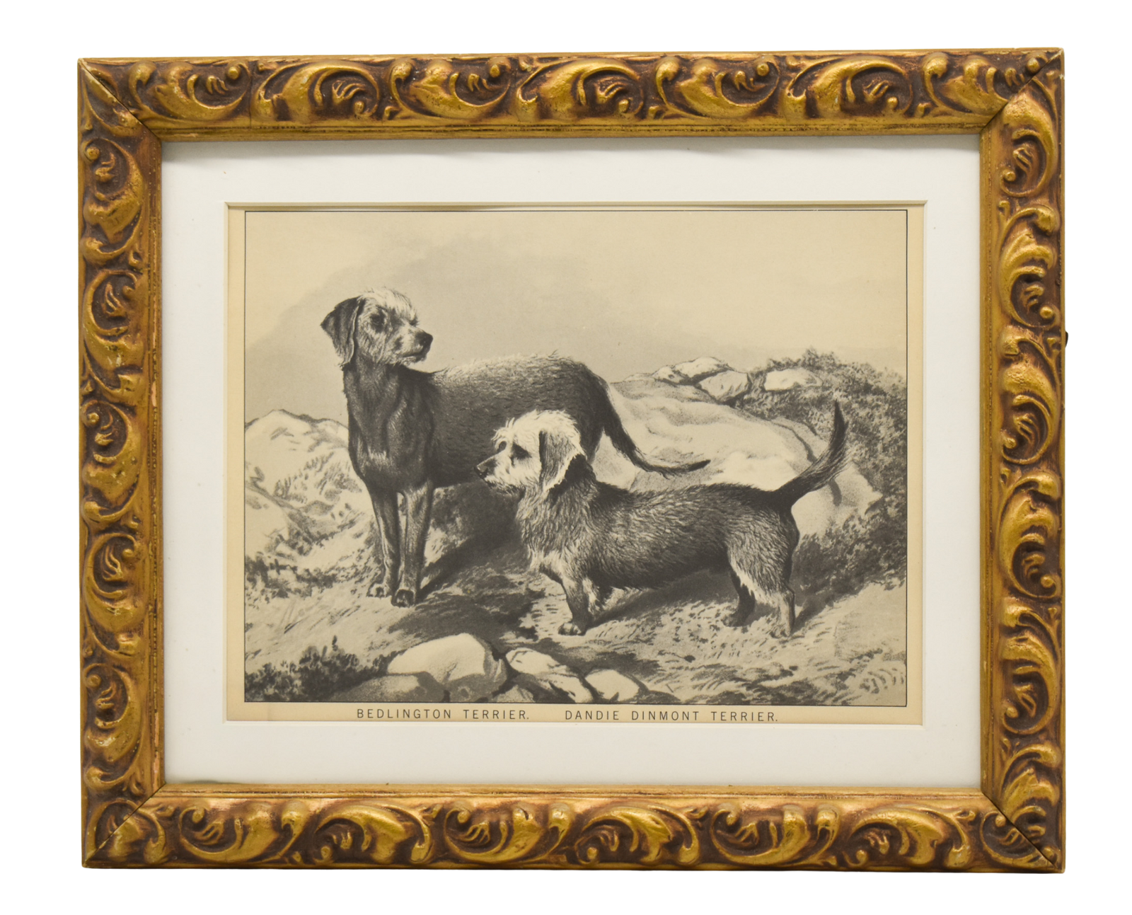Vintage Terrier Print