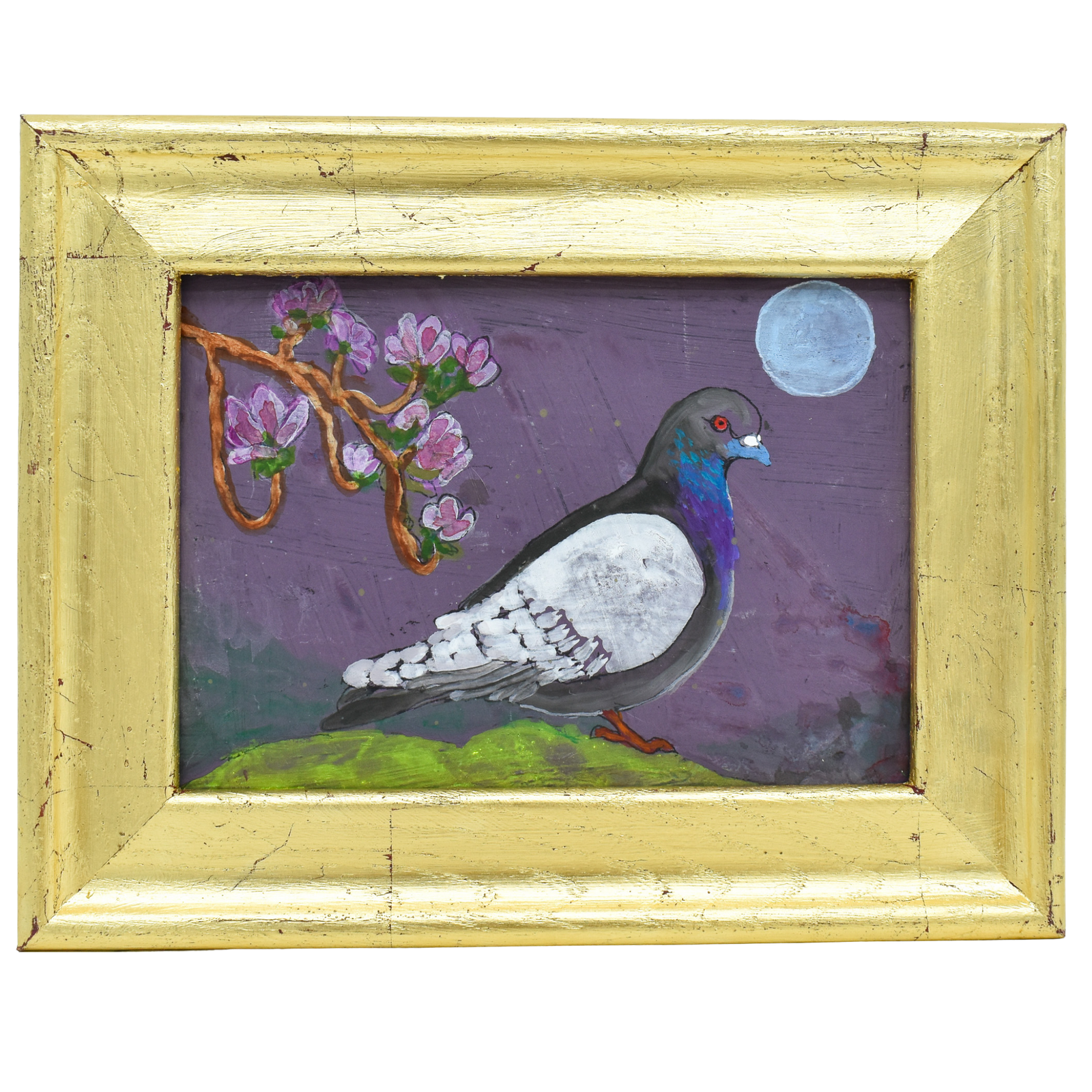 Pigeon #2