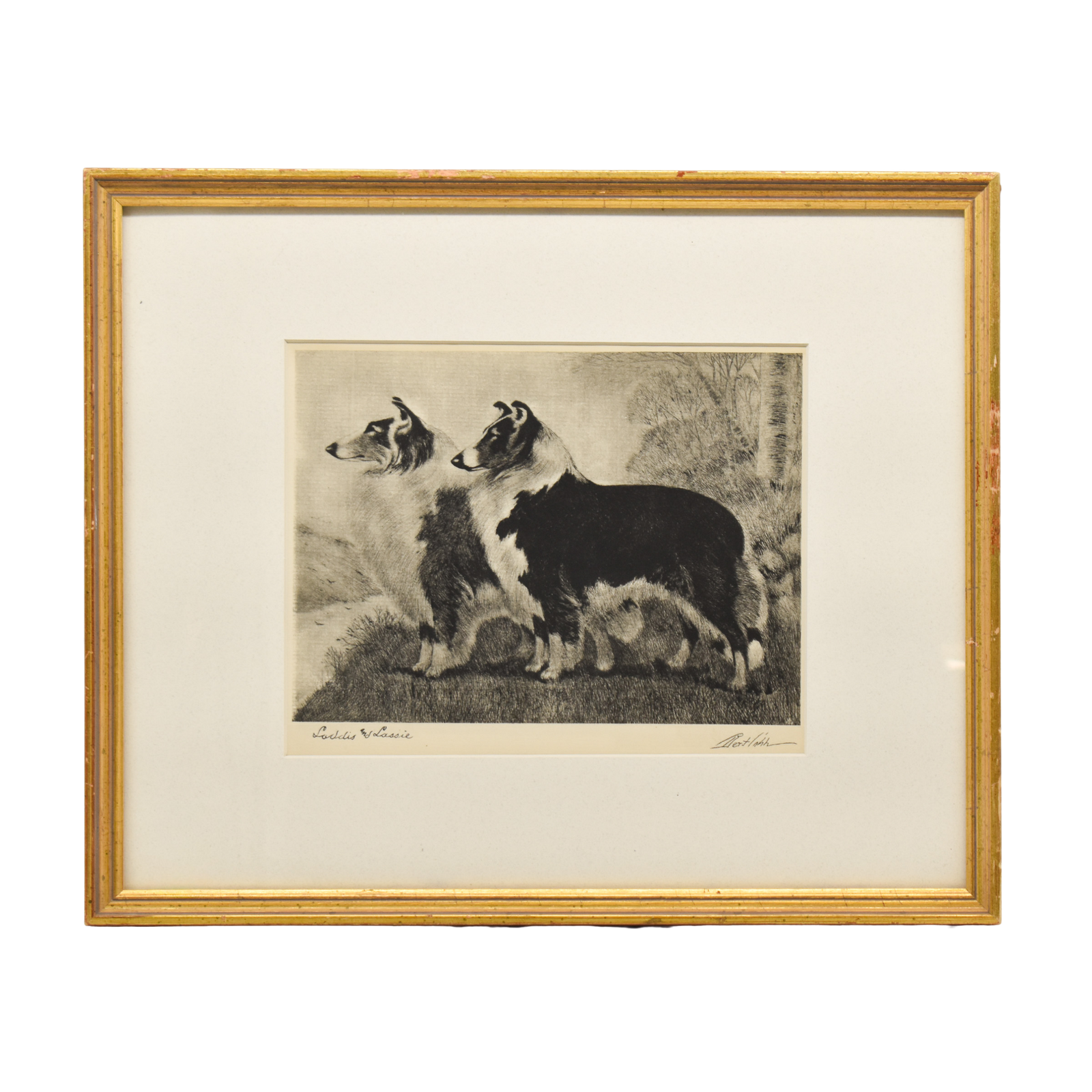 Laddis and Lassie Print