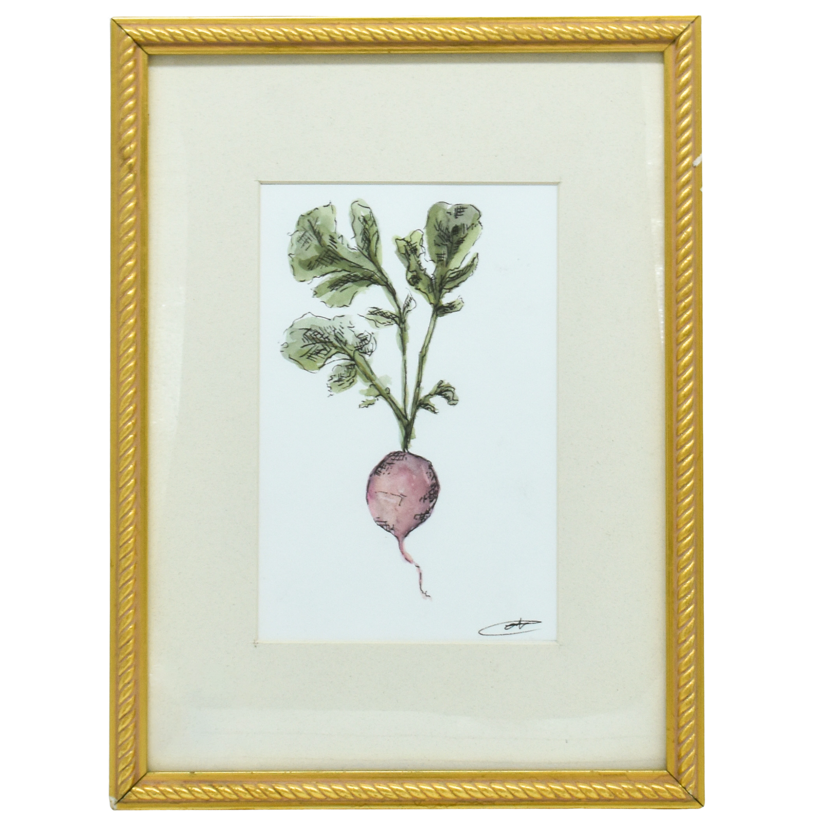 Radish
