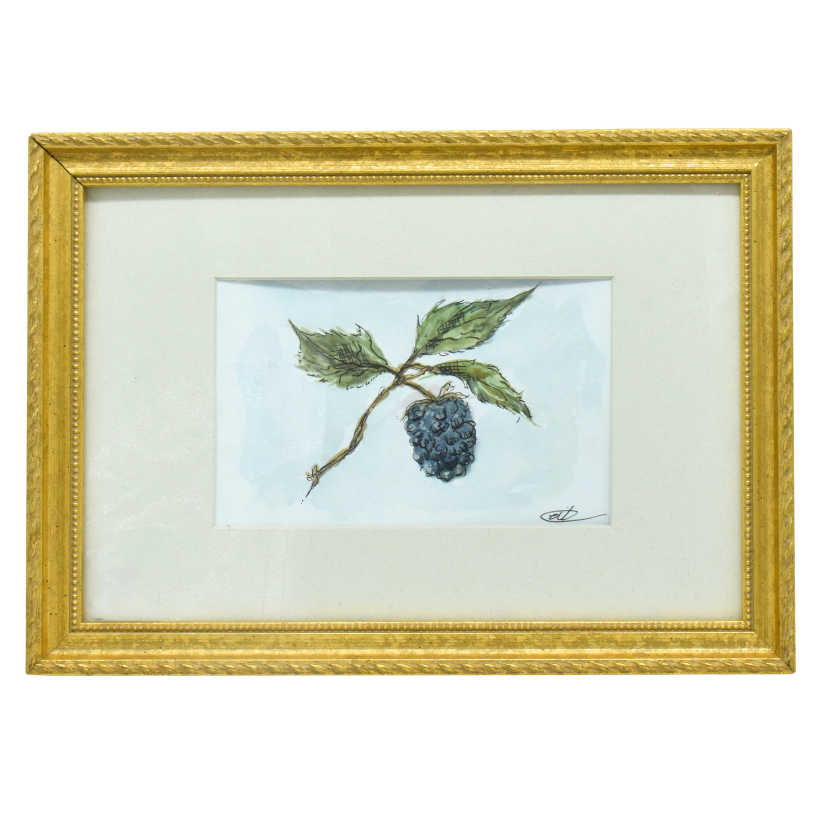 Blackberry Branch