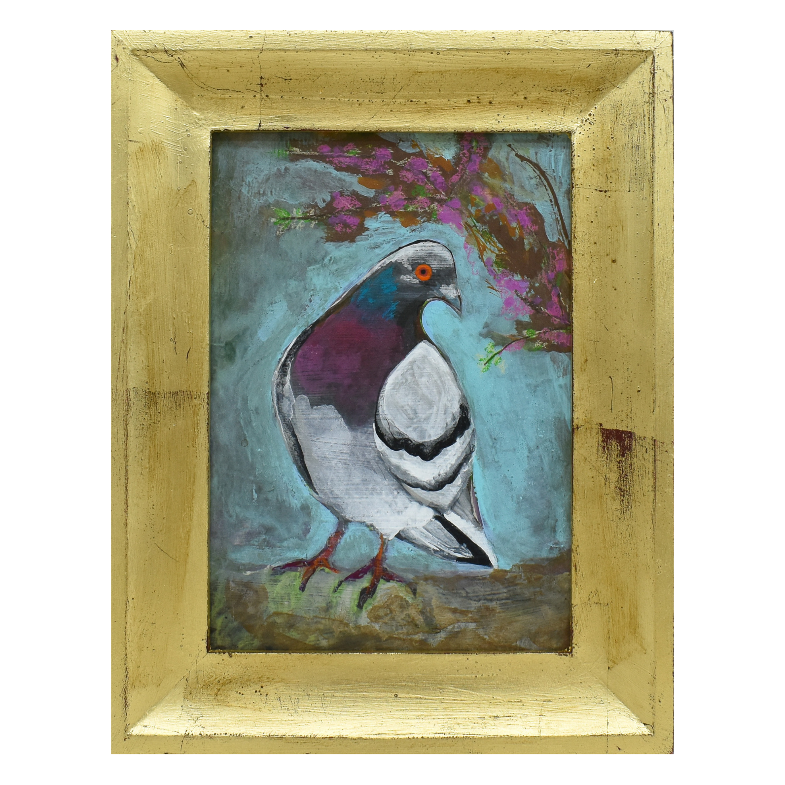 Pigeon #1