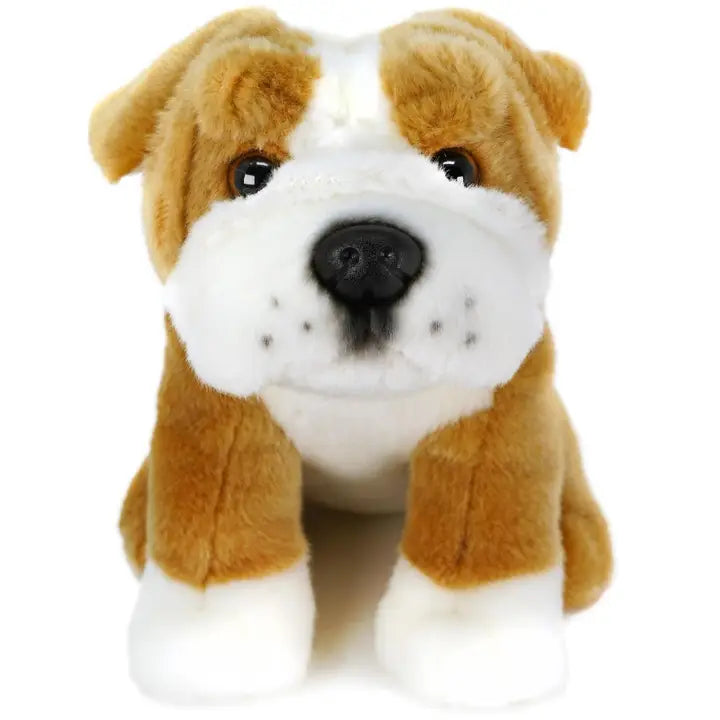 Egan the English Bulldog