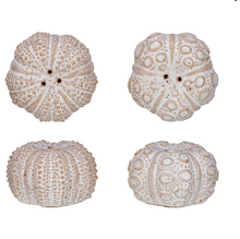 Load image into Gallery viewer, Stoneware Sea Urchin Shaped Salt &amp; Pepper Shakers - Set of 2 (Each One Will Vary)
