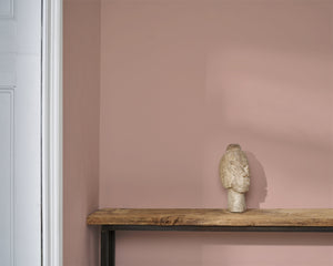 Piranesi Pink Wall Paint