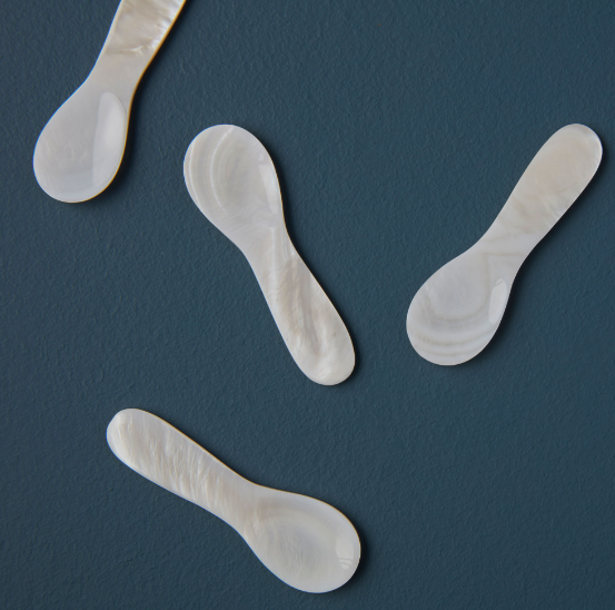 Seashell Spoons -  Small