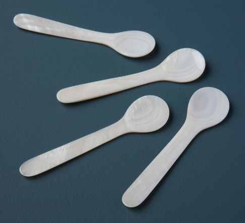 Seashell Spoons - Large