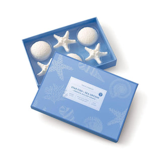 Starfish and Sea Urchin: Sea Mist Soap - Set of 6 in gift box