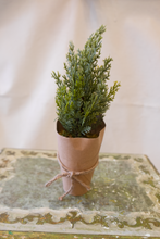 Load image into Gallery viewer, Artificial Tree w/ Paper Wrapped Pot
