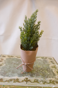 Artificial Tree w/ Paper Wrapped Pot